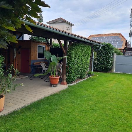 Apartament Haus Schneider Kappel-Grafenhausen Zewnętrze zdjęcie