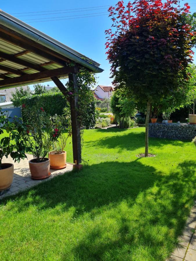 Apartament Haus Schneider Kappel-Grafenhausen Zewnętrze zdjęcie