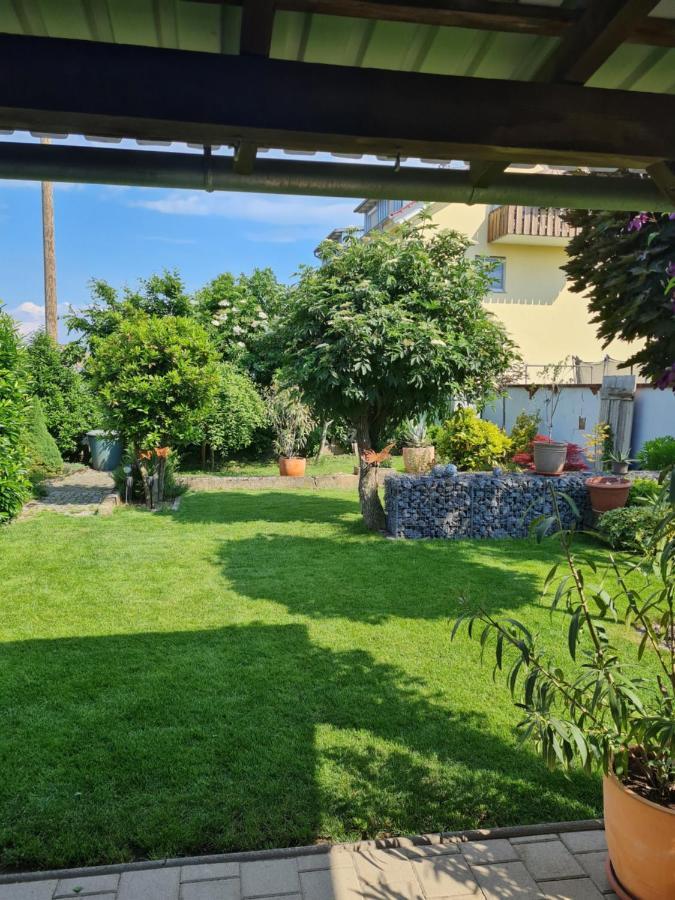 Apartament Haus Schneider Kappel-Grafenhausen Zewnętrze zdjęcie